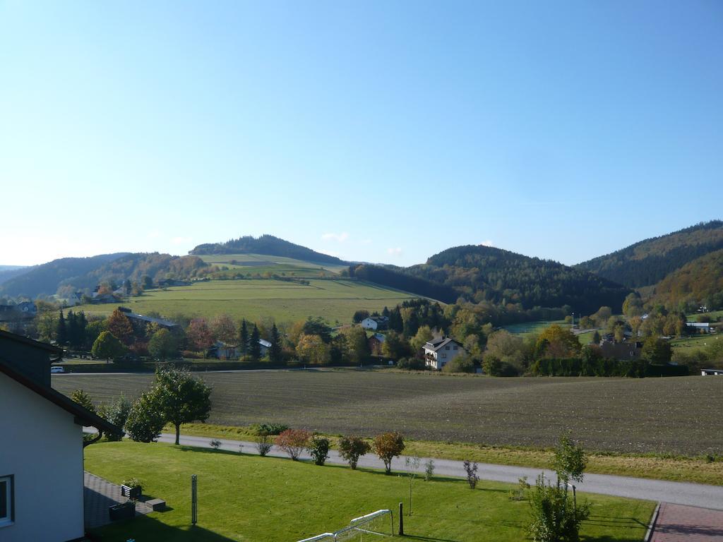 Haus Talblick Βίλα Willingen  Εξωτερικό φωτογραφία