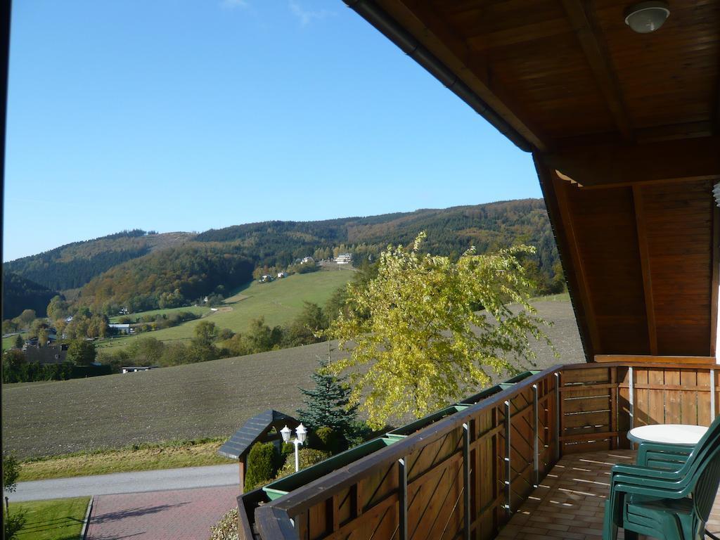 Haus Talblick Βίλα Willingen  Εξωτερικό φωτογραφία